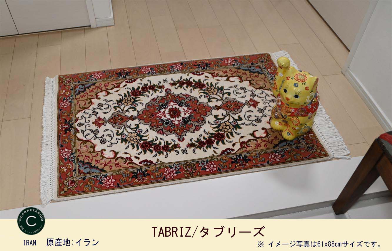 Ｍ10136　タブリーズ