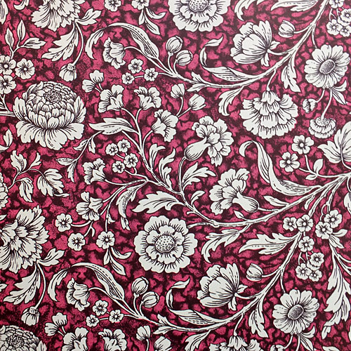 FG-VIG�������硡�磻��