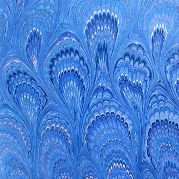 PA -BL����ѥԥ�������ޡ��֥롡�֥롼