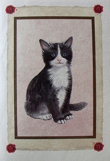 ����ѥԥ������꡼�ƥ��󥰥����ɡ������ͤ�