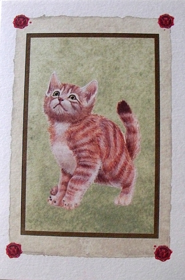 ����ѥԥ������꡼�ƥ��󥰥����ɡ��ͤ��������