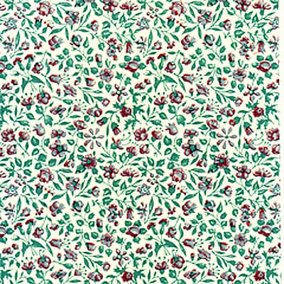 FP-4������������