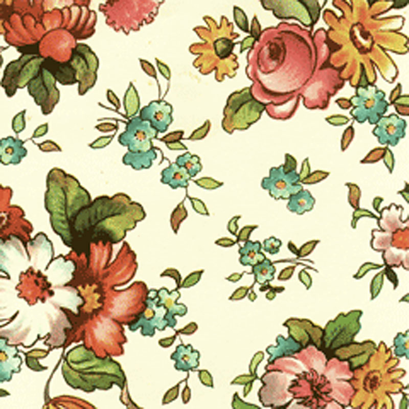 FG-1�����åȥ�����Ȳ�����