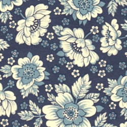 FG-BL����Υȡ����Ĳ���