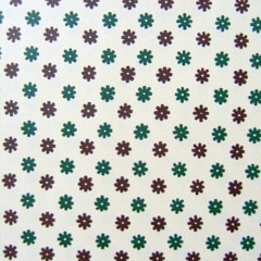 FI-DVM���֥ɥåȡ����꡼�󤳤���