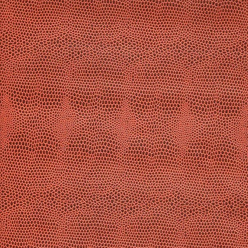 LUC-AR �������ȥ顡�����