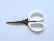 TAKAGI���ե��ǲù��Ϥ���