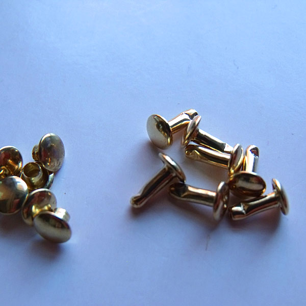 ��������30�����ꡡ­Ĺ��������ɡ�����С�