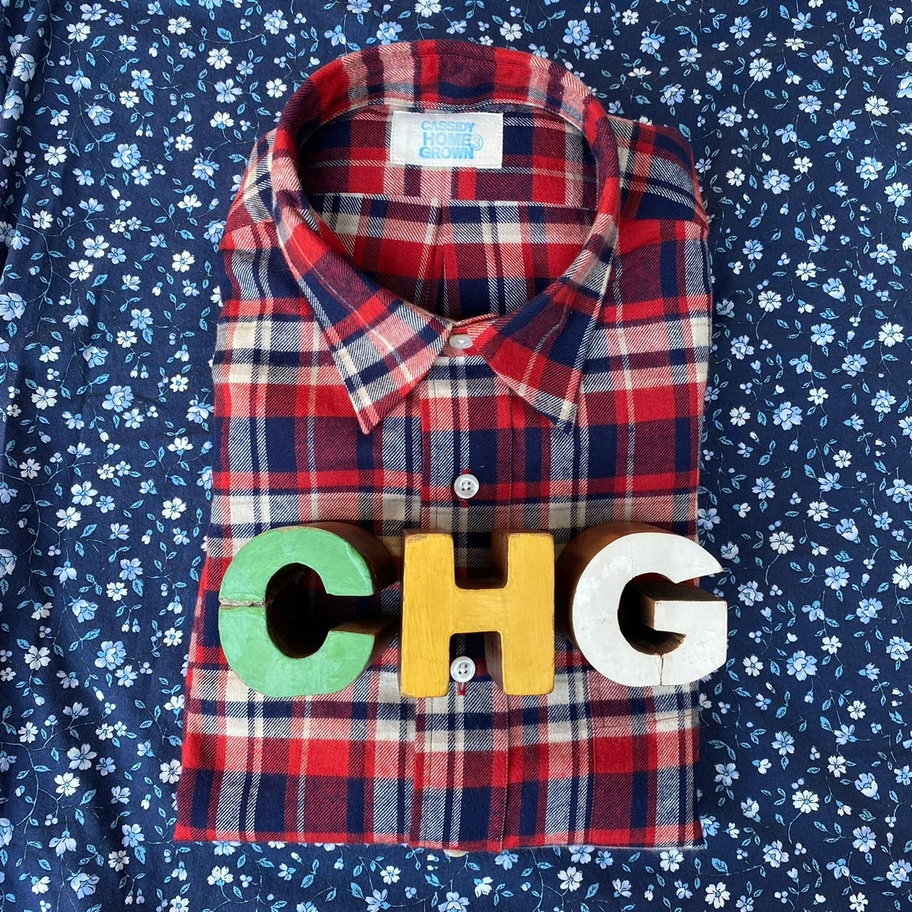 CASSIDY HOME GROWN [㥷ǥۡ॰] - COTTON FLANNEL REGULAR COLLAR SHIRTS - RED CHECK