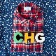 CASSIDY HOME GROWN [㥷ǥۡ॰] - COTTON FLANNEL REGULAR COLLAR SHIRTS - RED CHECK