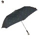 FOX UMBRELLAS [եå֥饺] - ƥ쥹ԥå_˥ޥإåɡޤꤿ߻/ ֥åå_Cat
