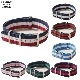 CASSIDY HOME GROWN [㥷ǥۡ॰] - WATCH BELT _ STRIPE