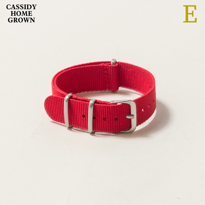 CASSIDY HOME GROWN [㥷ǥۡ॰] - WATCH BELT _ SOLID