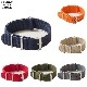 CASSIDY HOME GROWN [㥷ǥۡ॰] - WATCH BELT _ SOLID