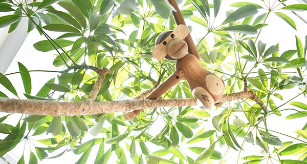 KAYBOJESEN MONKEY / カイボイスン｜CATAWARA（カタワラ）