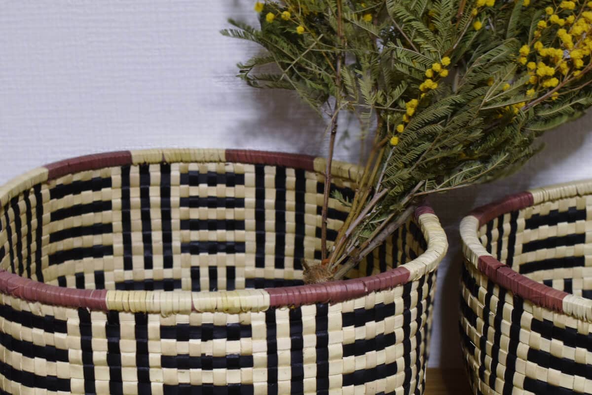 Rettai Olai BASKET / suno & morrison バスケット｜CATAWARA（カタワラ）