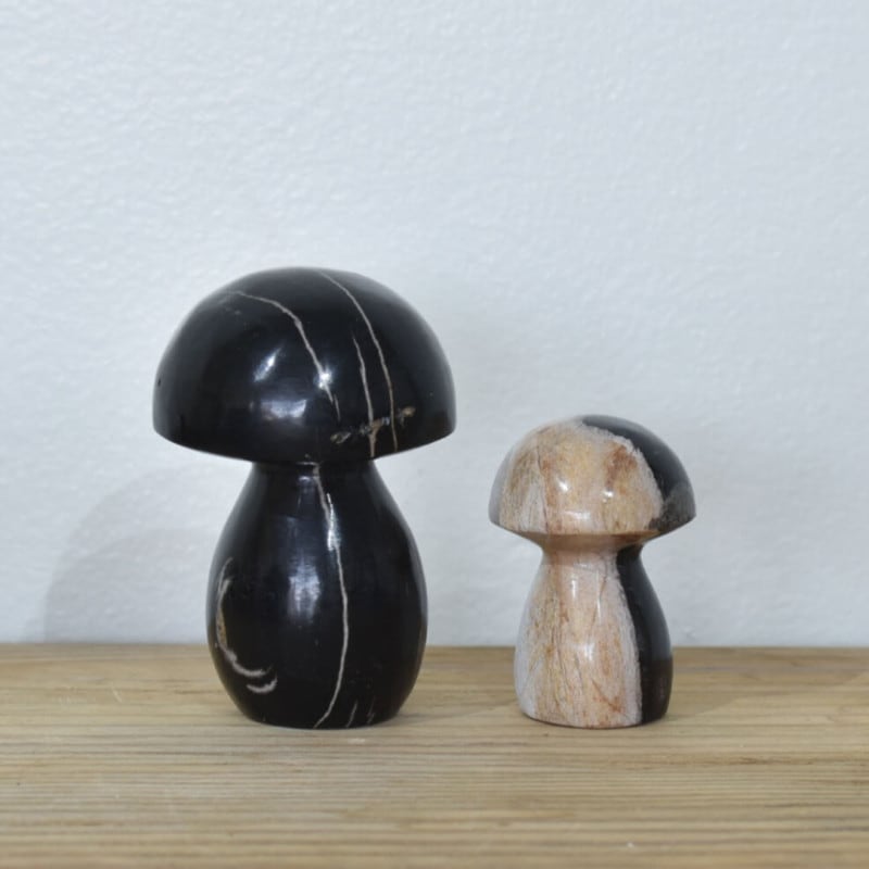 MUSHROOM STONE / 珪化木のオブジェ ｜CATAWARA（カタワラ）