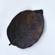 LEAF PLATE