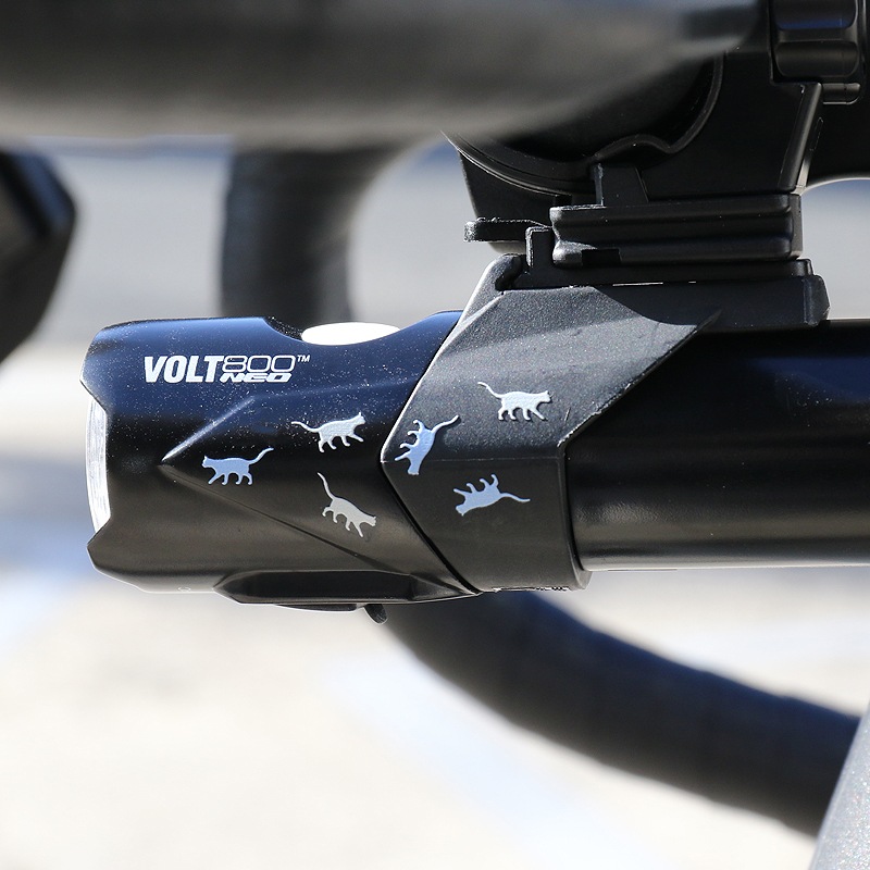 VOLT800 NEO ǭ�����С������[����åȥ��������쥯�ȸ�����] ������