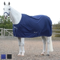 Bucasʥӥ塼 ѥ顼