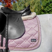 FairPlay�ʥե����ץ쥤�� �����饤�ȥ���ߥå� ���å���