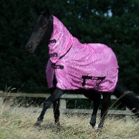 Bucas�ʥӥ塼�����˥ե꡼����ե饤������