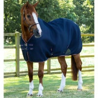 PREMIER EQUINE�ʥץ�ߥ���������� �����ե��� �����顼�饰