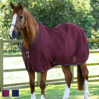 PREMIER EQUINEʥץߥ ե 顼饰