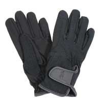 ñԲľ beginneråȣåоݾʡGۡP