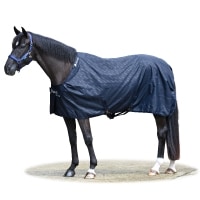 ڿեBucasʥӥ塼 ơ֥륷 0g