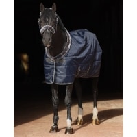 ��P���å��оݡ�Bucas�ʥӥ塼������ ���硼�饤�� ���ơ��֥�饰 150g