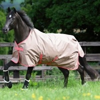 ڴָPtåסBucasʥӥ塼 ե꡼ॿ󥢥ȥ饤