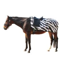 Bucasʥӥ塼 ե饤饰 ֥