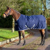 Bucasʥӥ塼 ե꡼ॹơ֥롡300g