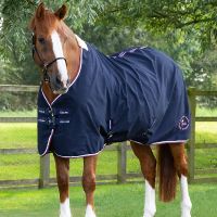 PREMIER EQUINEʥץߥ˥ȥ饿ơ֥륷