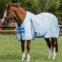 PREMIER EQUINE�ʥץ�ߥ���������˥�å��奨�����ե饤�饰