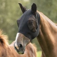 LAMI-CELL 饤 ե饤ޥ