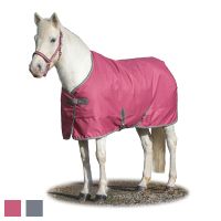 ڿեBucasʥӥ塼 ե꡼ॹơ֥롡300g