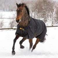 ڿեBucasʥӥ塼 å 󥢥ȡ150g