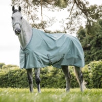 �ڿ���ե�����Bucas�ʥӥ塼������ �ե꡼���� �����󥢥��� �饤��