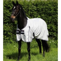 �ڿ���ե�����PREMIER EQUINE�ʥץ�ߥ���������� ���ȡ��� ���ơ��֥륷����