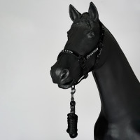 VESTRUM�ʥ������ȥ��� ������ ̵���ȼꥻ�å�