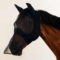 馬具・乗馬用品の専門通販サイト CAVALLO カバロ オンラインショップ