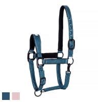 Equestrian Queen�ʥ��������ȥꥢ�󥯥������ ����ȥ��åȥ���� ̵��