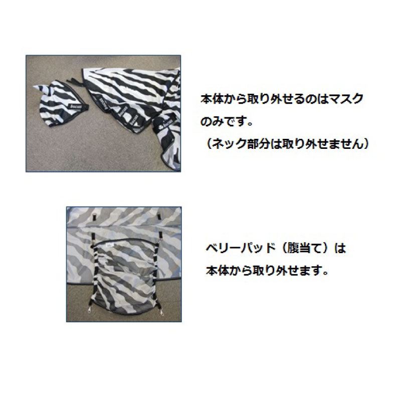 Bucas�ʥӥ塼������ �Х������ա����֥顦�ե饤������