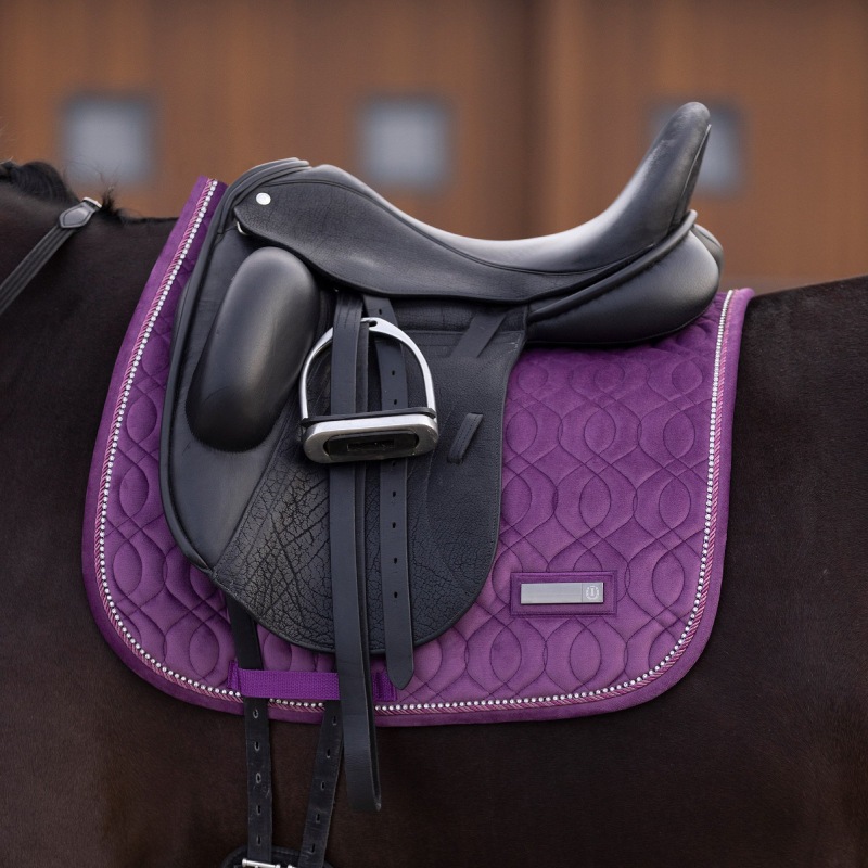 IMPERIAL RIDING�ʥ���ڥꥢ��饤�ǥ��󥰡� ������ ���å���