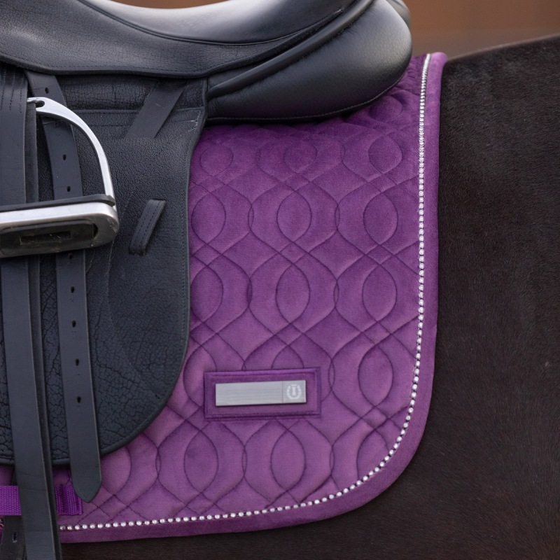 IMPERIAL RIDING�ʥ���ڥꥢ��饤�ǥ��󥰡� ������ ���å���