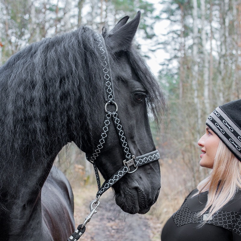 FairPlay�ʥե����ץ쥤�� �٥� �ӥå� ����ߥå� ̵�����ȼꥻ�å�