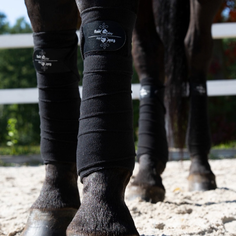 FairPlay�ʥե����ץ쥤�� ����å��� �Х�ǡ���