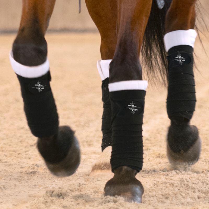 FairPlay�ʥե����ץ쥤�� ����å��� �Х�ǡ���